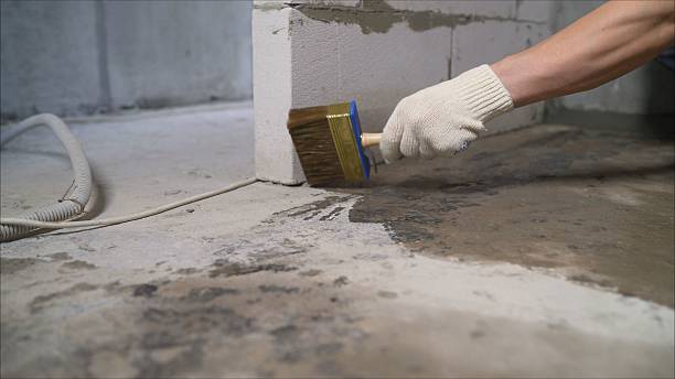 Top rated local Waterproofing specialists in Goldvein, VA